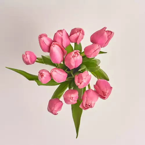 Product image Bouquet of 15 Pink Tulips, packaging: Without packaging, vendor code: 2254