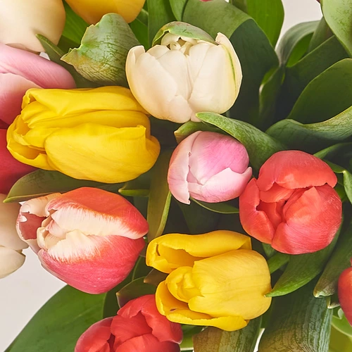 Product image Bouquet of 15 Tulips mix, packaging: Transparent, vendor code: 2178