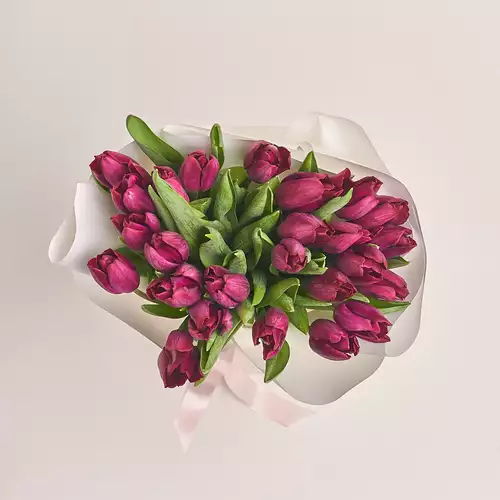 Product image Bouquet of 25 Purple Tulips, packaging: White, vendor code: 2265
