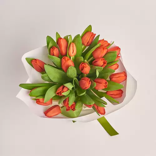 Product image Bouquet of 25 Red Tulips, packaging: White, vendor code: 2261