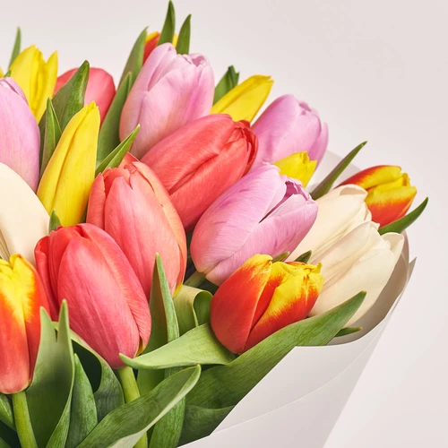 Product image Bouquet of 25 Tulips mix, packaging: White, vendor code: 2264