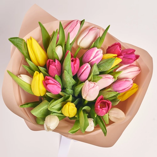 Product image Bouquet of 25 Tulips mix, packaging: White, vendor code: 2264