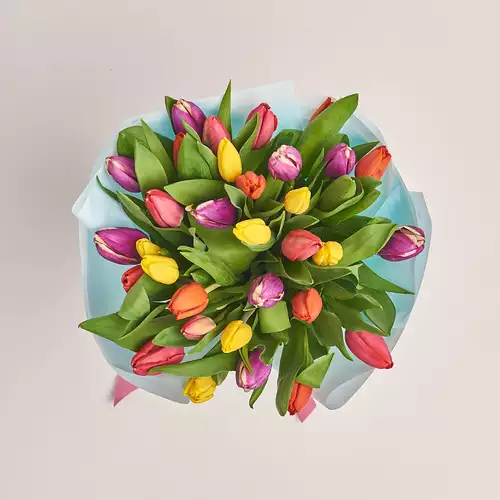 Product image Bouquet of 35 Tulips mix, packaging: Blue, vendor code: 2277