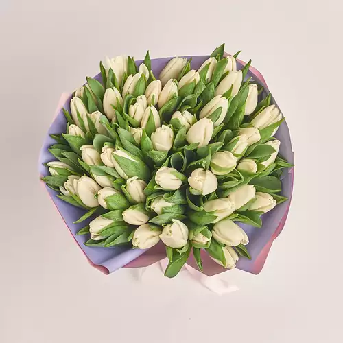 Product image Bouquet 51 White Tulip, packaging: Gradiens violet, vendor code: 2285