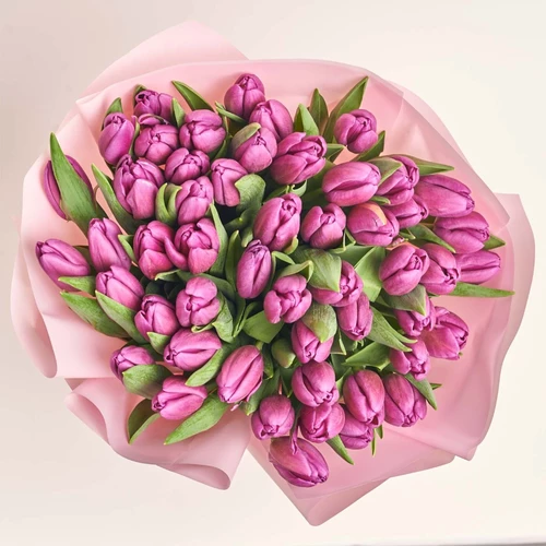 Product image Bouquet 51 Purple Tulip, packaging: Pink, vendor code: 2298