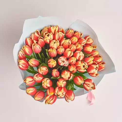 Product image Bouquet 51 Yellow-red Tulip, packaging: Blue, vendor code: 2288