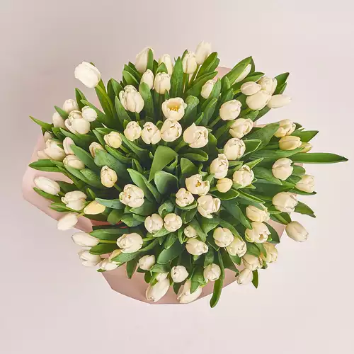 Product image Bouquet of 75 White Tulips, packaging: Powder, vendor code: 2322