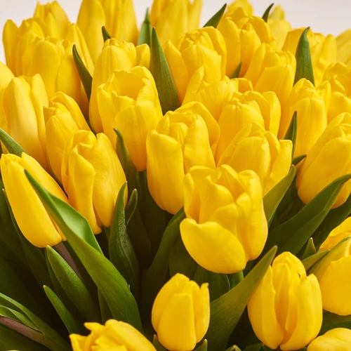 Product image Bouquet of 75 Yellow Tulips, packaging: Gray, vendor code: 2362