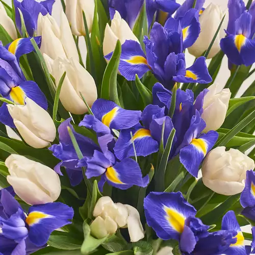 Product image Bouquet 630 Mix Tulips and Irises, packaging: Transparent, vendor code: 2342