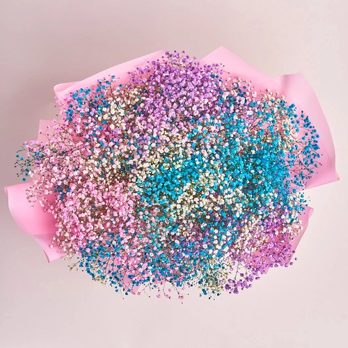 Product image Bouquet 15 Gypsophila Painted, packaging: Pink, vendor code: 2473