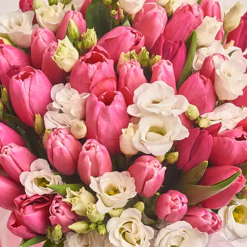 Product image Box of Eustoma and 51 Tulip Mix, packaging: Blue, vendor code: 2501