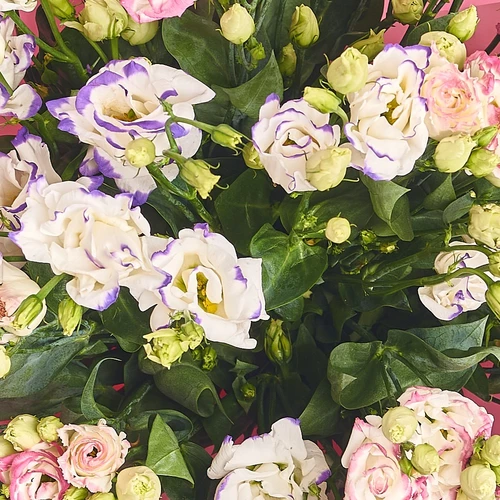 Product image Bouquet 31 Bicolor Eustoma Mix , vendor code: 2530