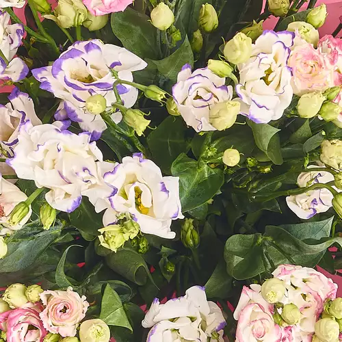 Product image Bouquet 51 Eustomas Bicolor, packaging: White, vendor code: 2534