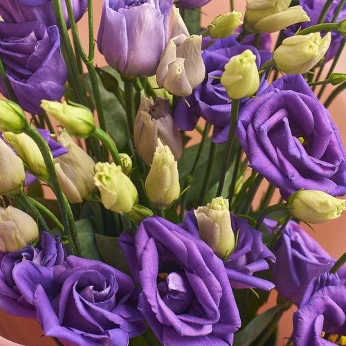 Product image Bouquet 51 Purple Eustoma, packaging: Сraft, vendor code: 2535