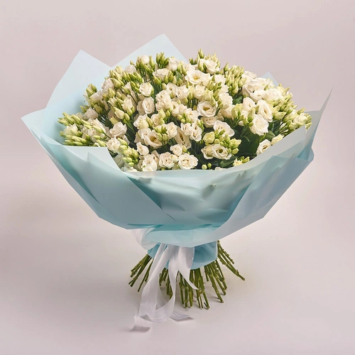 Product image , vendor code: 