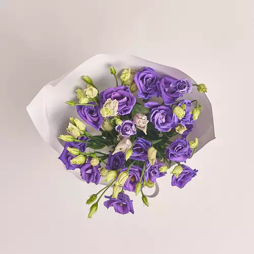 Product image Bouquet 5 Purple Eustoma, packaging: White, vendor code: 2541