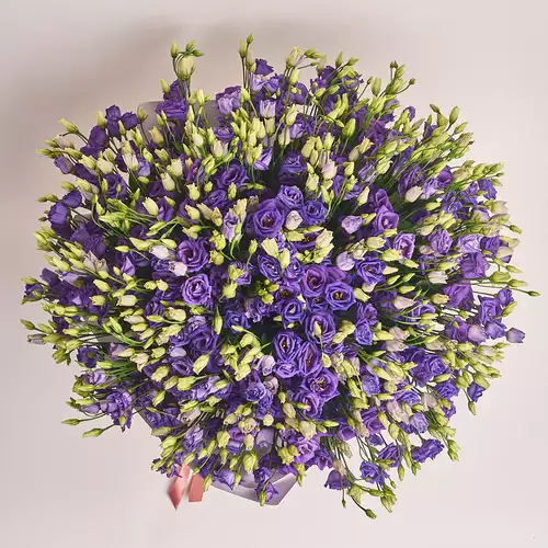 Product image Bouquet 101 Purple Eustoma, packaging: White, vendor code: 2542