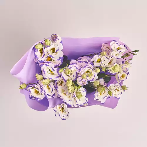 Product image Bouquet of 5 White-Violet Eustomas, packaging: Purple, vendor code: 2544