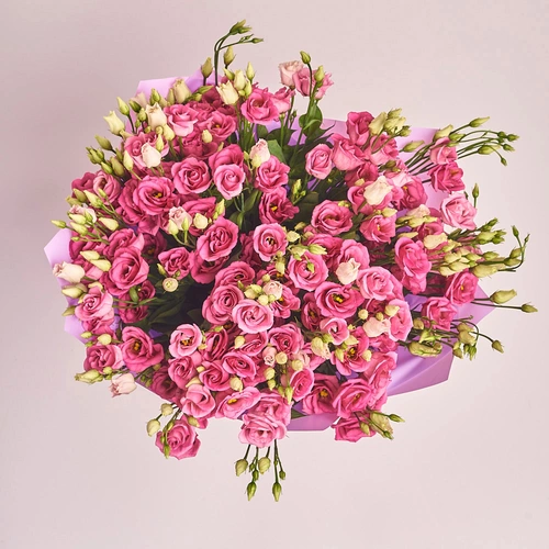 Product image Bouquet of 25 Pink Eustomas , packaging: Purple, vendor code: 2545