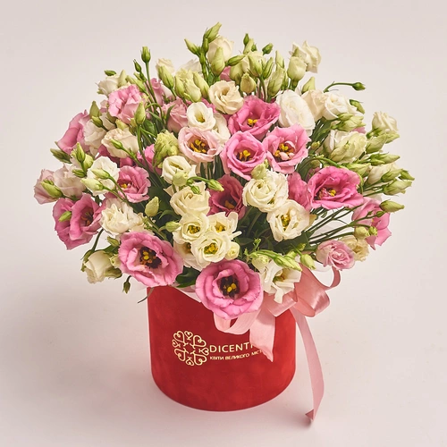 Product image Box of White and Pink Eustoma Mix, packaging: Red, vendor code: 2548