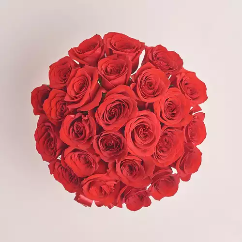 Product image Box of 25 Red Roses Grand Prix, packaging: Pink, vendor code: 2549