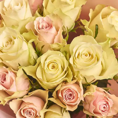 Product image Bouquet 51 Rose Athena Mix, packaging: Blue, vendor code: 2553