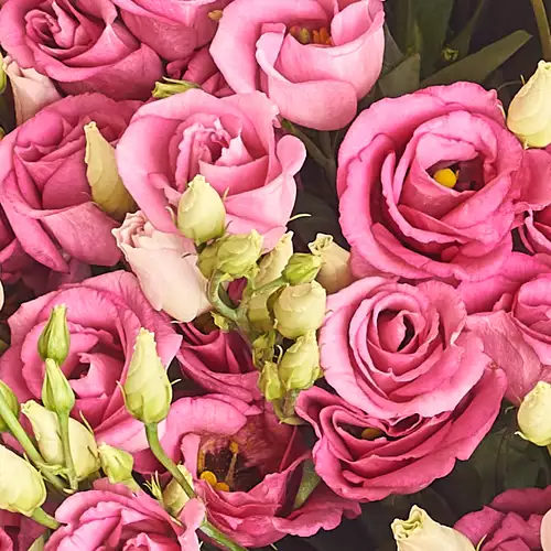 Product image Bouquet 51 Pink Eustoma , packaging: White, vendor code: 2554