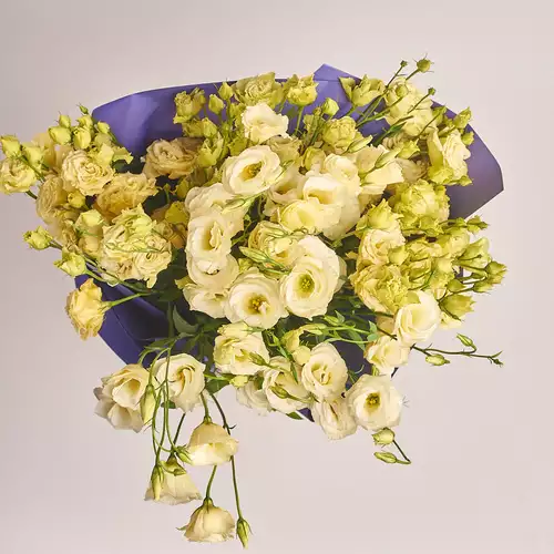 Product image Bouquet of 15 Cream Eustomas, packaging: Gradiens violet, vendor code: 2556