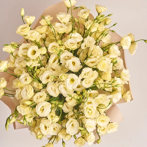 Product image Bouquet of 25 Cream Eustomas, packaging: Tissue paper cream, vendor code: 2557