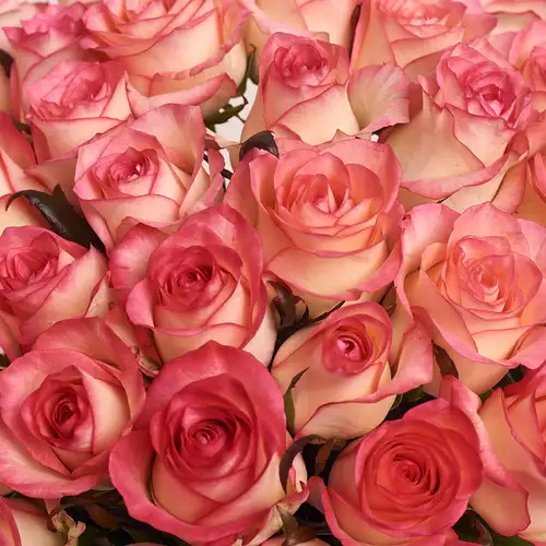 Product image Bouquet of 35 Roses Jumilia , packaging: Without packaging, vendor code: 2559
