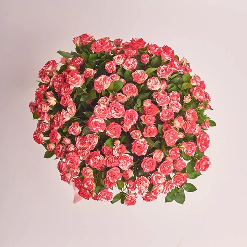 Product image Bouquet of 25 Spray roses Fireworks, packaging: Without packaging, vendor code: 2605