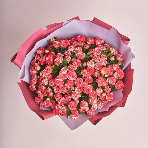 Product image Bouquet of 25 Spray roses Fireworks, packaging: Coral, vendor code: 2605