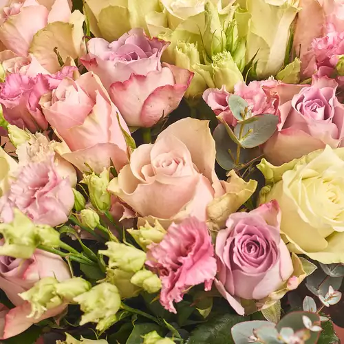 Product image Bouquet 711, packaging: Powder, vendor code: 2608