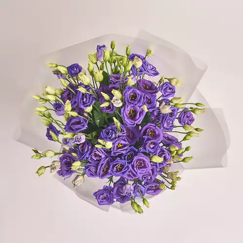 Product image Bouquet 15 Purple Eustoma, packaging: Transparent, vendor code: 2612