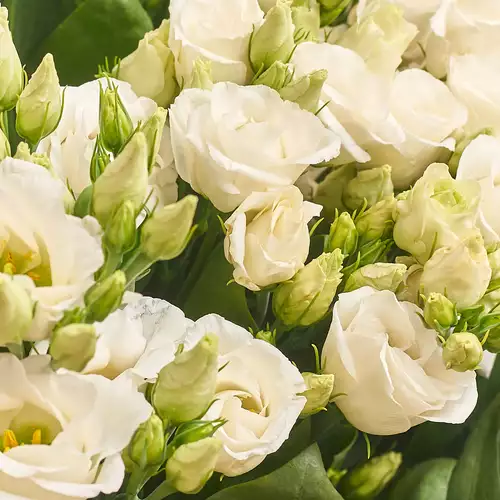 Product image Bouquet of 5 White Eustomas , packaging: Gray, vendor code: 2613