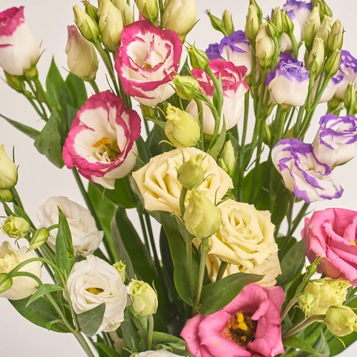 Product image Bouquet 5 Eustoma Mix, packaging: Gray, vendor code: 2618
