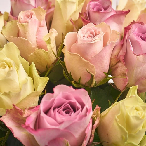 Product image Bouquet of 25 Roses mix Athena and Memory, packaging: White, vendor code: 2622