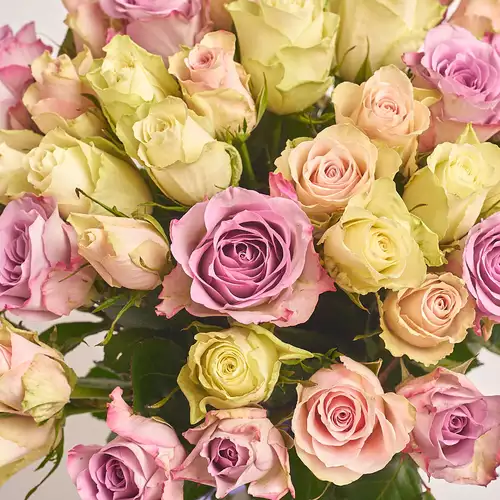 Product image Bouquet 51 Rose mix Athena and Memory, packaging: Сraft, vendor code: 2623