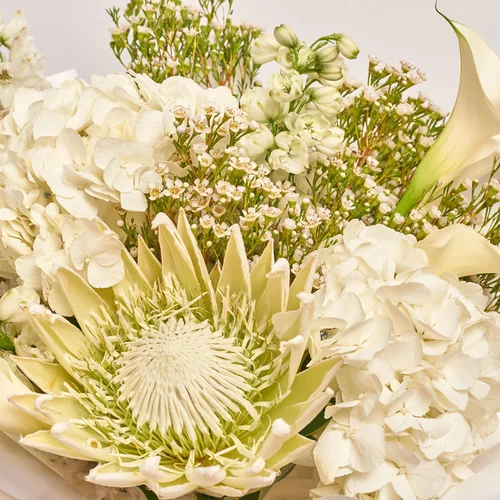 Product image Bouquet 717, packaging: White, vendor code: 2625