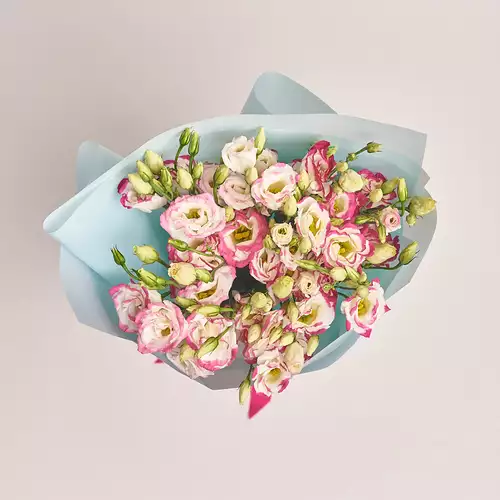 Product image Bouquet of 11 White-Pink Eustomas, packaging: Blue, vendor code: 2628