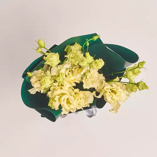 Product image Bouquet of 5 Cream Eustomas, packaging: Green, vendor code: 2632