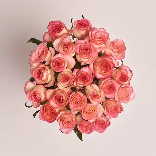 Product image Bouquet of 25 Roses Jumilia, packaging: Without packaging, vendor code: 2636