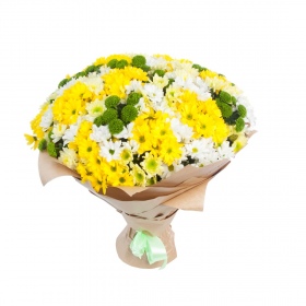 Bouquet 41 Chrysanthemum Mix 