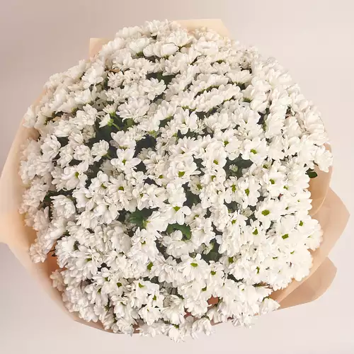 Product image Bouquet 51 Chrysanthemum Chamomile, packaging: Peach, vendor code: 2639