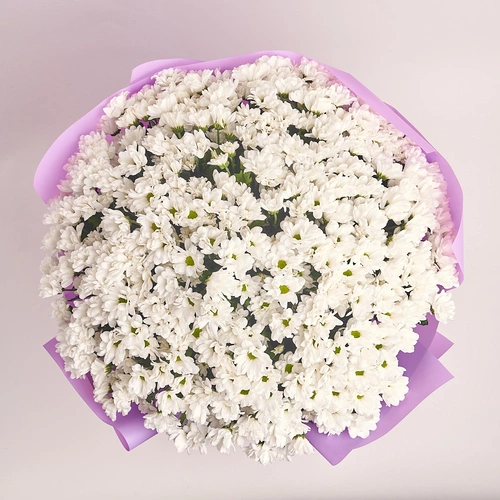 Product image Bouquet 51 Chrysanthemum Chamomile, packaging: Purple, vendor code: 2639