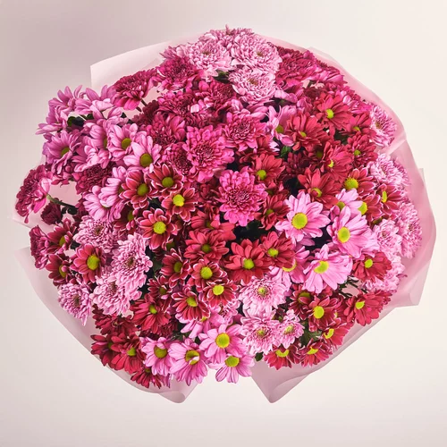 Product image Bouquet of 25 Pink Chrysanthemums Mix, packaging: Pink, vendor code: 2640