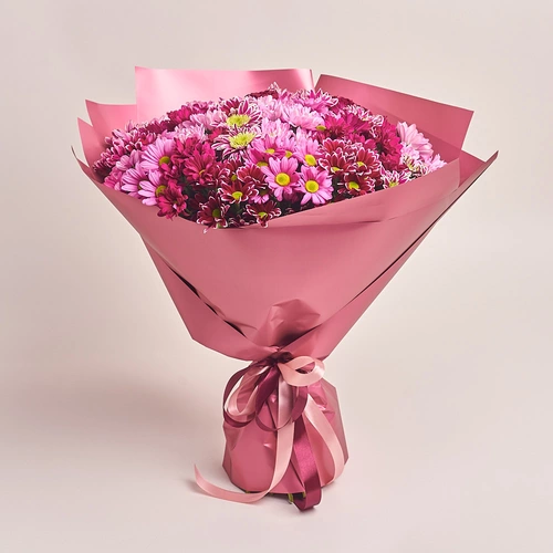 Product image Bouquet of 25 Pink Chrysanthemums Mix, packaging: Coral, vendor code: 2640