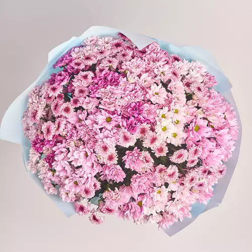 Product image Bouquet 41 Pink Chrysanthemum Mix, packaging: Blue, vendor code: 2641