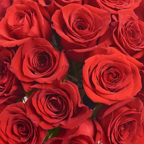 Product image Box 31 Red Rose Grand Prix, packaging: Blue, vendor code: 2644