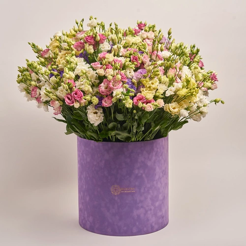 Product image Box of 101 Eustoma Mix, packaging: Purple, vendor code: 2648